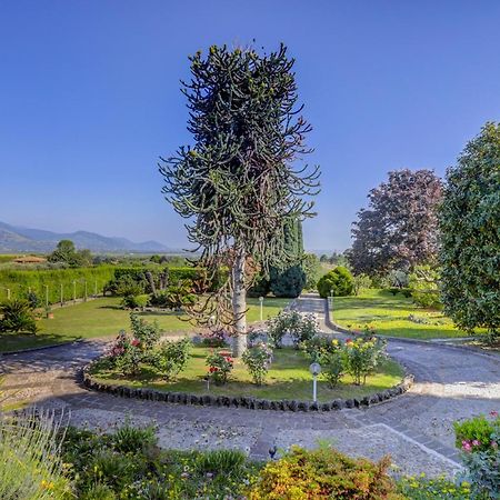 Villa Luce-Casa Vacanza Con Vista Panoramica Mare. Velletri Kültér fotó