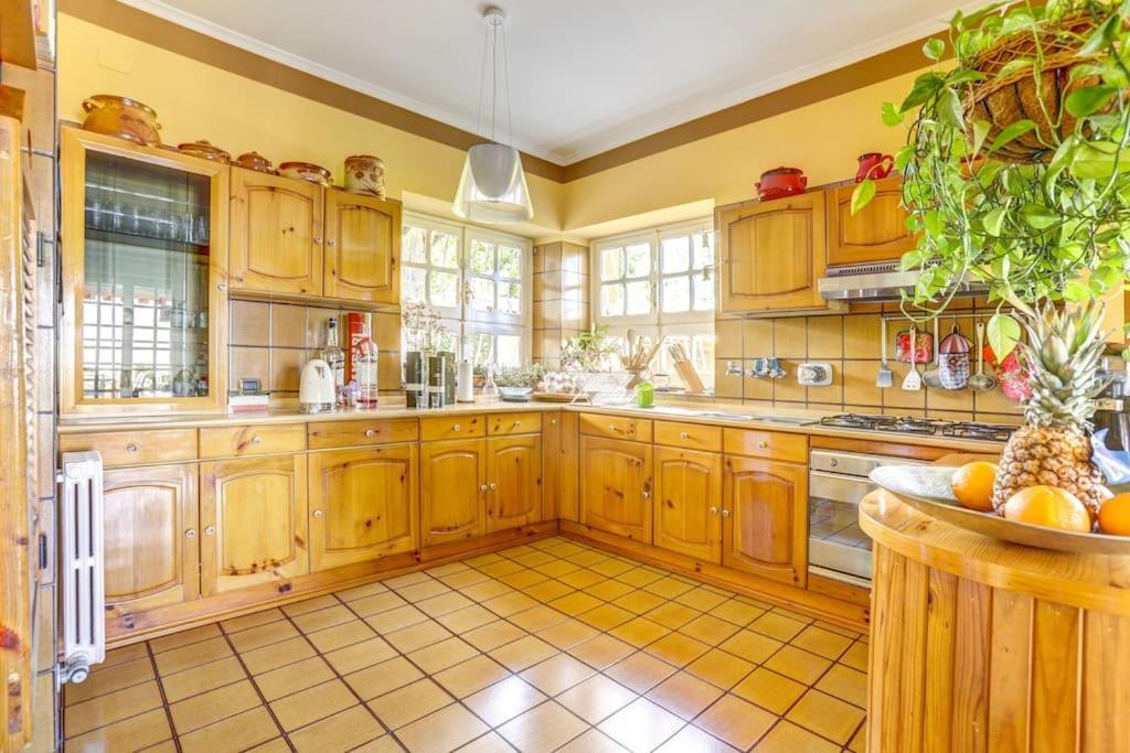 Villa Luce-Casa Vacanza Con Vista Panoramica Mare. Velletri Kültér fotó